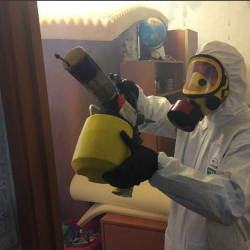 Уничтожение клопов в квартире. Проспект Большевиков