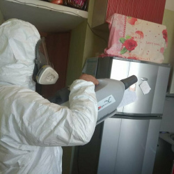 Уничтожение насекомых в квартире. Проспект Большевиков
